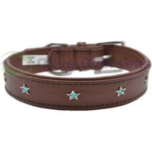 Soft Genuine Leather Star Studded Dog Collar cushioned for extra comfort , Available in a variety of colors and sizes as per request.,