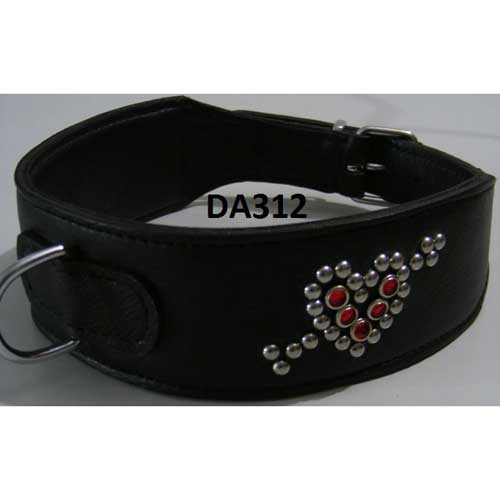 buy dog collars online