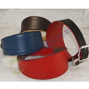 dog collar, leather collar, pet collar, pet leash, genuine leather collar, choke collar, stylish collar, choking collar
