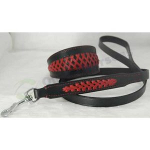 hound collar and leash DA394